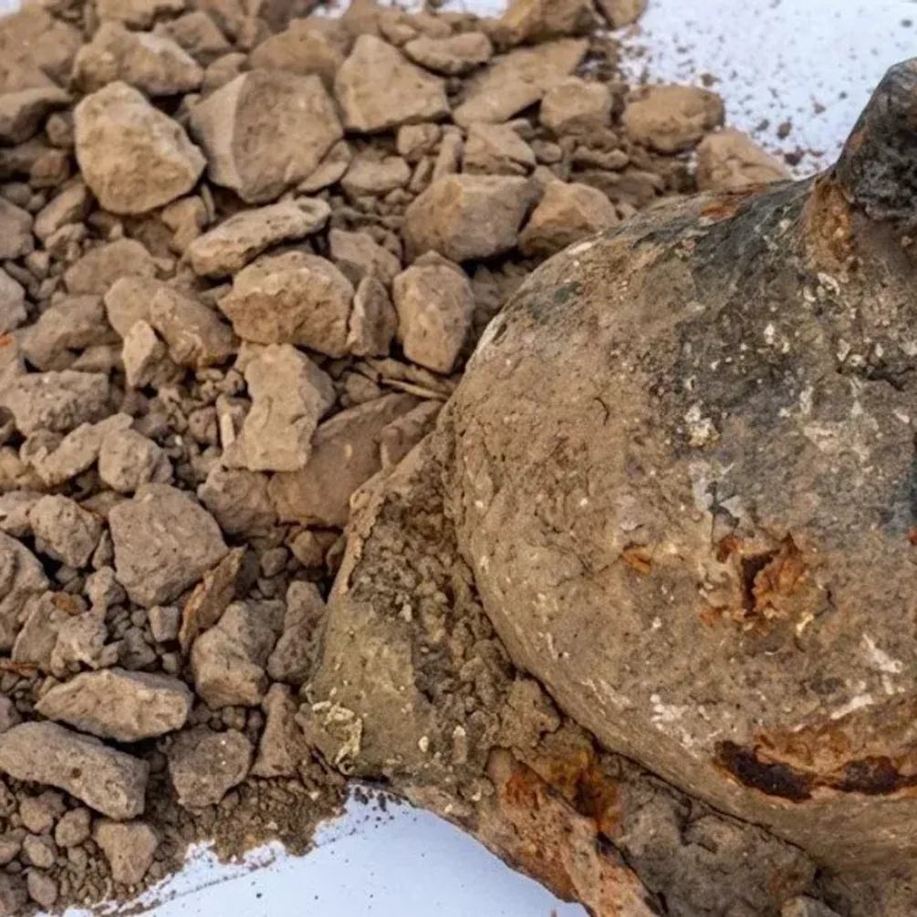 У Польщі на звалищі металобрухту виявили древній щит віком 1800 років (фото)